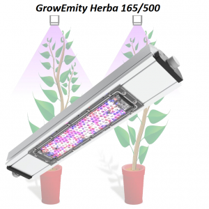 GrowEmity Herba165/500